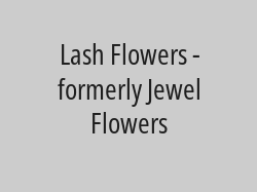 20% discount from total bill