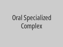 Snap On Smile for one jaw for 499 riyals