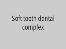 20% discount on one-tooth combination (zircon, porcelain)