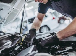 With maintenance of any piece Offers door and cabinet calibration and lubrication with free polishin