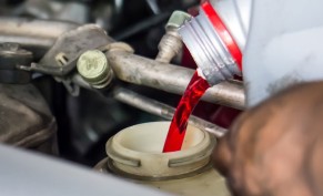 تغيير زيت الجير  غير شاملة فلتر جير ووجهة كرتير