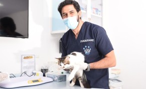 خصم  ترحيبي 25% على جميع الخدمات الطبية والعلاجية