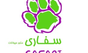 خصم 25% على  خدمات القطط