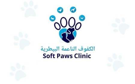 Soft Paws Clinic