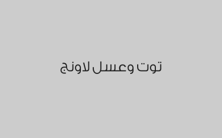 توت وعسل لاونج