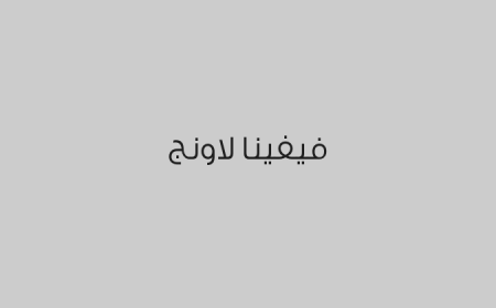 فيفينا لاونج