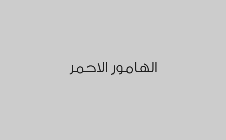 الهامور الاحمر