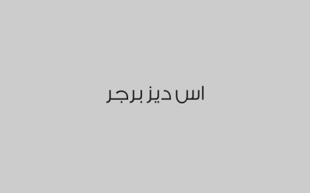 اس ديز برجر 