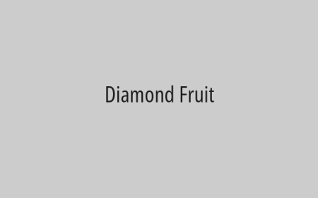 Diamond Fruit
