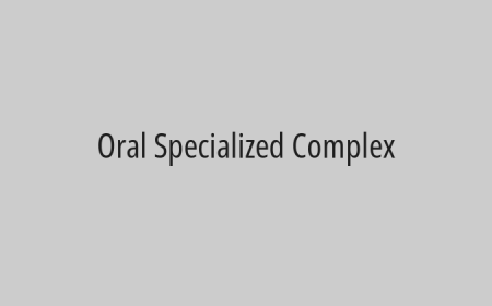 Oral Specialized Complex
