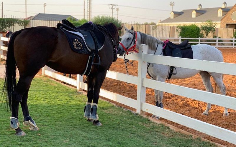 Al Farisa Equestrian Club for ladies