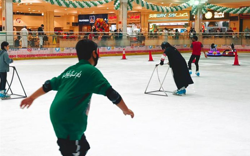 Skating Land