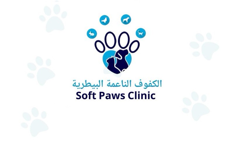 Soft Paws Clinic